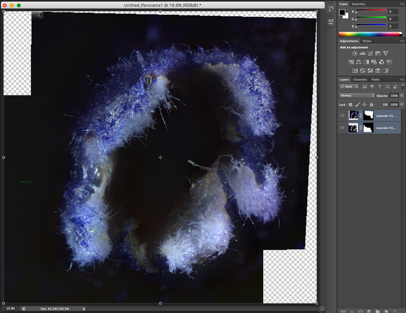 Illustration for article titled Welcome to Microscope Monday - How it's done